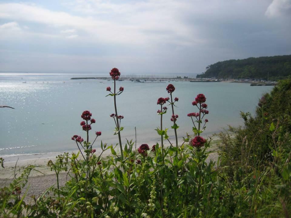 Cap Morgat chez Jean Appartement Crozon Buitenkant foto